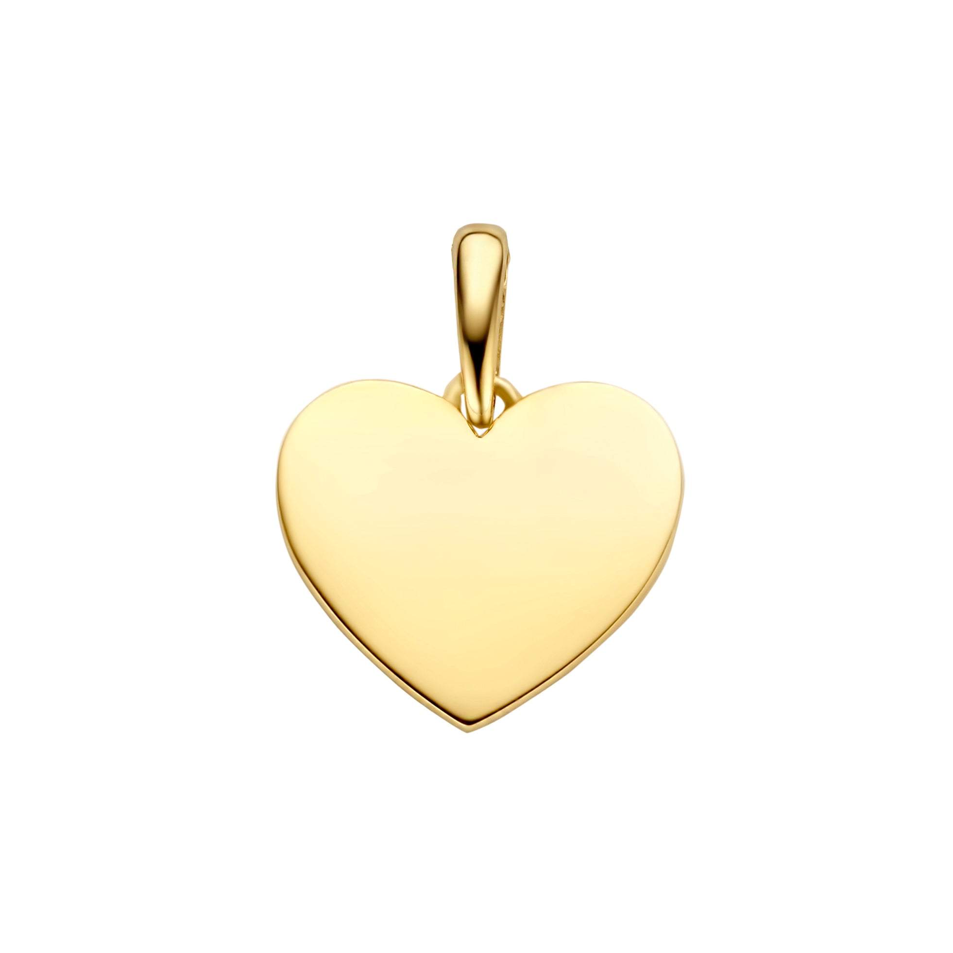 14K gouden Elara-hanger